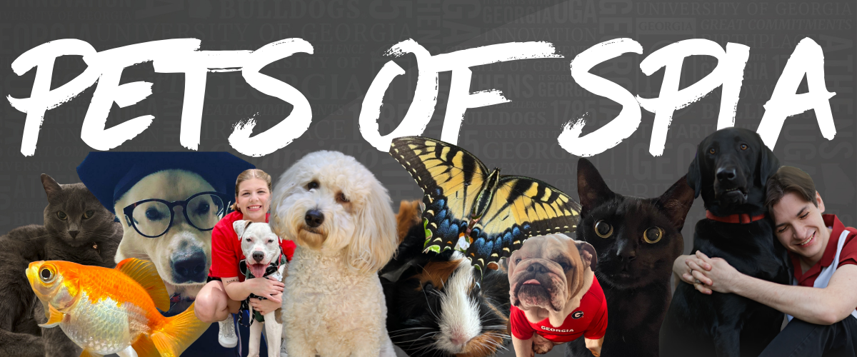 Pets of SPIA; Collage of pets
